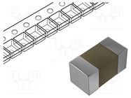 Capacitor: ceramic; MLCC; 5.1pF; 16V; C0G (NP0); ±0.1pF; SMD; 01005 MURATA