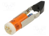 LED lamp; orange; T5,5K; 24VDC; -20÷60°C; Mat: plastic CML INNOVATIVE TECHNOLOGIES