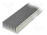 Heatsink: extruded; grilled; natural; L: 1000mm; W: 100mm; H: 40mm SEIFERT ELECTRONIC