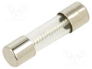 Fuse: fuse; time-lag; 1.6A; 250VAC; cylindrical,glass; 5x20mm; FTT SCHURTER