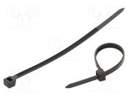 Cable tie; L: 100mm; W: 3.6mm; polyamide; black; 100pcs; UL94V-2 QOLTEC