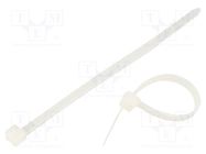 Cable tie; L: 100mm; W: 3.6mm; polyamide; natural; 100pcs; UL94V-2 QOLTEC