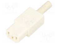 Connector: AC supply; plug; female; 10A; 250VAC; IEC 60320; C13 (F) BULGIN