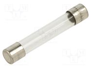 Fuse: fuse; quick blow; 200mA; 500VAC; glass; 5x30mm; brass; 530.600 ESKA