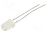 LED; white cold; 5mm; 3000÷12000mcd; 55°; Front: convex; 3.2÷4VDC CREE LED