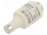 Fuse: fuse; 16A; 500VAC; 500VDC; gG; industrial; DII MERSEN
