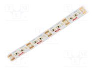 LED tape; white warm; LED/m: 266; 10mm; IP20; 120°; 5.3W/m; 24VDC KLUŚ