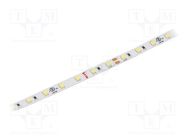 LED tape; white neutral; 24V; LED/m: 70; 8mm; IP20; 120°; 4.8W/m KLUŚ