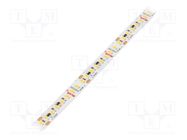 LED tape; white warm; LED/m: 160; 10mm; IP20; 120°; 19.2W/m; 24VDC KLUŚ