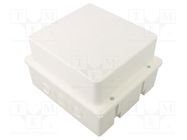 Enclosure: junction box; X: 170mm; Y: 190mm; Z: 120mm; wall mount JONEX