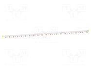 Busbar; Poles: 2; Urated: 415V; 100A; No.of mod: 57; Uinsul: 500V SCHNEIDER ELECTRIC