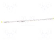 Busbar; Poles: 4; Urated: 415V; 100A; No.of mod: 57; Uinsul: 500V SCHNEIDER ELECTRIC