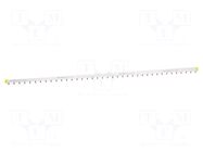 Busbar; Poles: 3; Urated: 415V; 100A; No.of mod: 57; Uinsul: 500V SCHNEIDER ELECTRIC