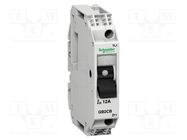 Motor breaker; 250VAC; for DIN rail mounting; IP20; -20÷60°C SCHNEIDER ELECTRIC