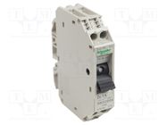 Motor breaker; 250VAC; for DIN rail mounting; IP20; -20÷60°C SCHNEIDER ELECTRIC