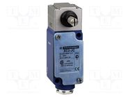 Limit switch; NC + NO; IP65,IP67; -25÷70°C; metal; 29mm TELEMECANIQUE SENSORS