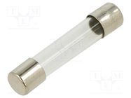 Fuse: fuse; quick blow; 200mA; 250VAC; glass; 6.3x32mm; brass; FSA OPTIFUSE