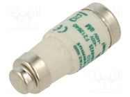 Fuse: fuse; aM; 25A; 440VAC; industrial; D02 MERSEN