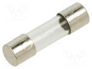 Fuse: fuse; quick blow; 315mA; 250VAC; glass; 5x20mm; bulk OPTIFUSE