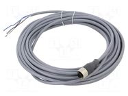 Cable: for sensors/automation; M12; PIN: 4; straight; 10m; plug TELEMECANIQUE SENSORS
