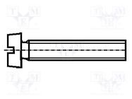 Screw; M1.6x20; 0.35; Head: cheese head; slotted; 0,4mm; steel; zinc BOSSARD