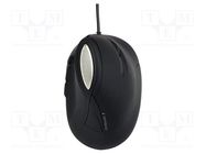 Optical mouse; black; USB A; wired; Features: DPI change button GEMBIRD