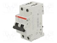 Circuit breaker; 230/400VAC; Inom: 4A; Poles: 2; Charact: B; 6kA ABB