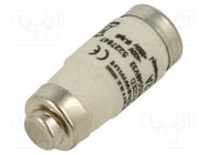 Fuse: fuse; gG; 32A; 400VAC; 250VDC; industrial; D02 MERSEN