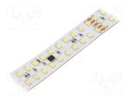 LED tape; white cold; 2835; 24V; LED/m: 240; 20mm; white PCB; IP20 IPIXEL LED