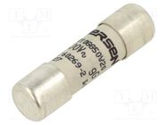 Fuse: fuse; gG,time-lag; 20A; 500VAC; 250VDC; 10x38mm MERSEN