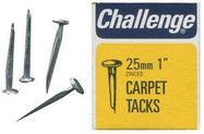 CARPET TACKS  ZINC PLATED, 25MM (40G)