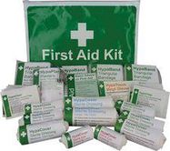 HSE FIRST AID KIT IN VINYL POUCH