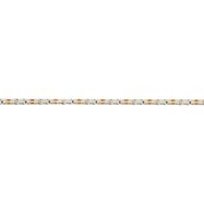 LED strip reel 5m, 12V 10W/m 120LED/m 1200lm/m IP20 cold white 6500K, S shape, LEMLUX