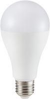 LAMP LED 17W A65 3000K E27 200'D