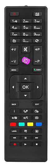 Remote Control VESTEL RC4870