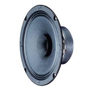 BG 17 - 8 Ohm -16 cm (6.5") full-range speaker