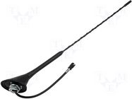 Car antenna AM/FM