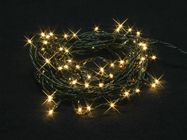 Burstlight LED - 20 m - 220 warm white lamps (44 flash) - green wire - 24 V