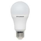 LED Lamp E27 A60 13 W 1521 lm 4000 K