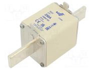 Fuse: fuse; 250A; 1kVDC; gPV; ceramic; NH2 DF ELECTRIC