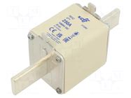 Fuse: fuse; 250A; 1kVDC; gPV; ceramic; NH2 DF ELECTRIC