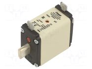 Fuse: fuse; 160A; 500VAC; gG; industrial; NH00 HAGER