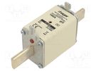 Fuse: fuse; gG; 160A; 690VAC; industrial; NH1 HAGER