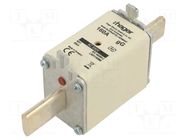 Fuse: fuse; 160A; 690VAC; gG; industrial; NH1 HAGER