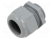 Cable gland; M40; 1.5; polyamide ILME