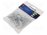 Rivet; aluminium; Rivet diam: 4mm; L.rivet: 18mm; 50pcs. HÖGERT TECHNIK