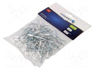 Rivet; aluminium; Rivet diam: 4.8mm; L.rivet: 10mm; 50pcs. HÖGERT TECHNIK