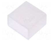 Ending; silicone IPIXEL LED