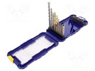 Kit: screwdriver bits; Phillips,Pozidriv®,Torx®; 25mm; 16pcs. IRWIN