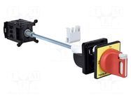 Main emergency switch-disconnector; Poles: 3; on panel; 20A; IP65 SCHNEIDER ELECTRIC